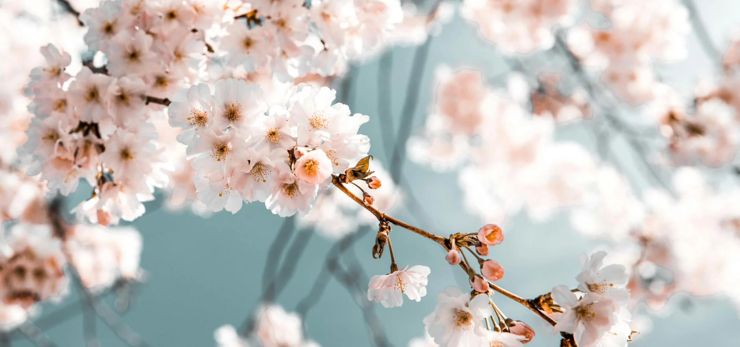 Hero banner background